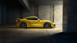 Porsche Cayman GT4 2015 года